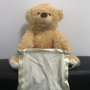 Talking Teddy Bear Peek A Boo