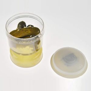 Wet And Dry Separation Pickle Jar Pickle & Olive Container