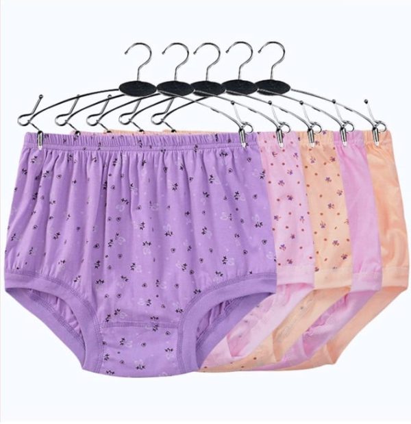 HighWaist Ladies Cotton Panties Plus Sizes5Pcs $24.98