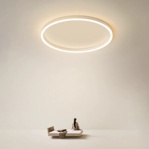 Arisha Modern Led Ceiling Lamp Of Metal