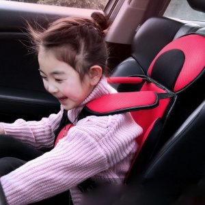 Portable Baby Safety Seat