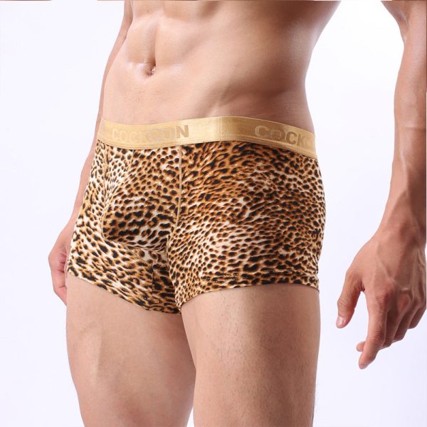 Men'S Panties With Gold-Rimmed Leopard Print