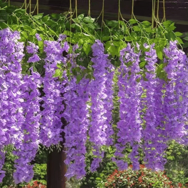 This Week'S Special Uv Simulation Artificial Wisteria