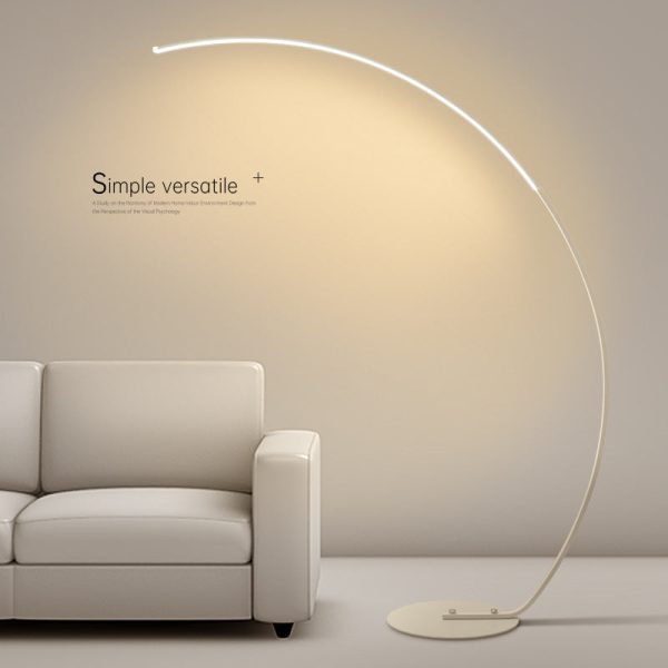 Minimalist Modern Floor Lamp