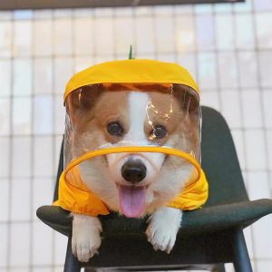 Pet Cute Dinosaur Raincoat