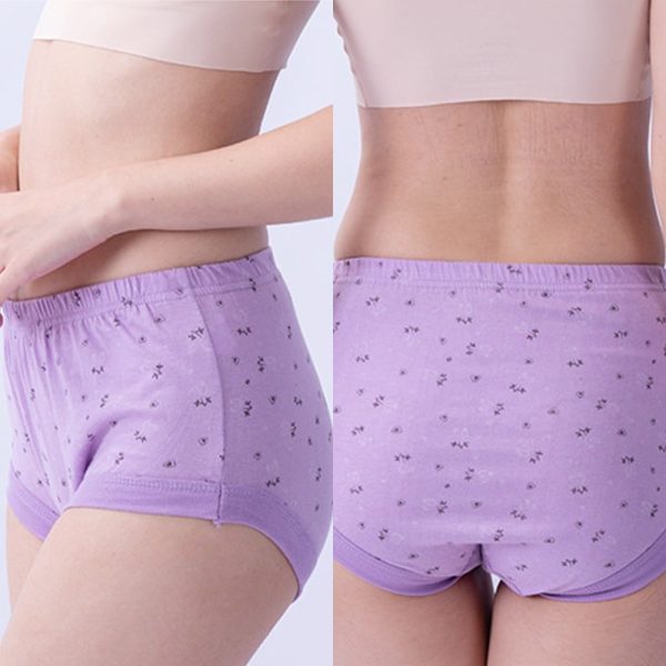 HighWaist Ladies Cotton Panties Plus Sizes5Pcs $24.98