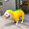 Pet Cute Dinosaur Raincoat