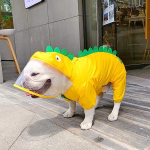 Pet Cute Dinosaur Raincoat