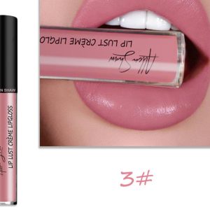 Silky Cream Texture Lip Gloss Lipstick