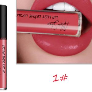 Silky Cream Texture Lip Gloss Lipstick