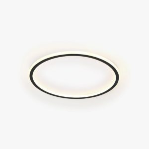 Quinn Modern Round Led Ceiling Lamp Metal/Acrylic