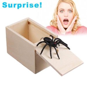 Super Funny Crazy Prank Gift Box Spider