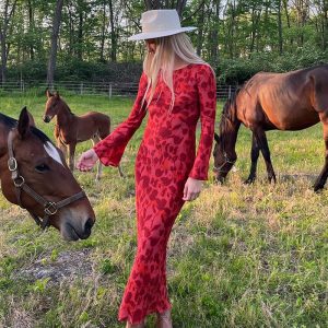 Long Sleeve Rose Printed Maxi Dress