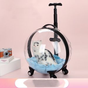 Portable Clear Space Capsule Pet Trolley