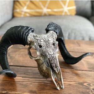 Carved Ram Skull