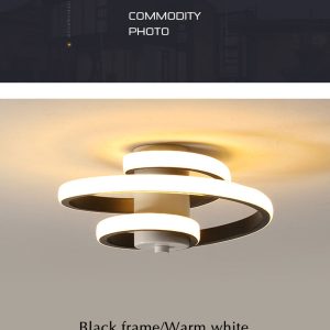 Simple And Modern Metal Led Lighting Ceiling Light