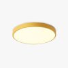 Morandi Modern Round Led Ceiling Lamp