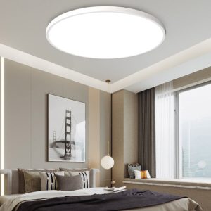 Quinn Modern Round Led Ceiling Lamps