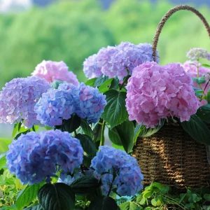 70 Outdoor Artificial Hydrangea Flowers