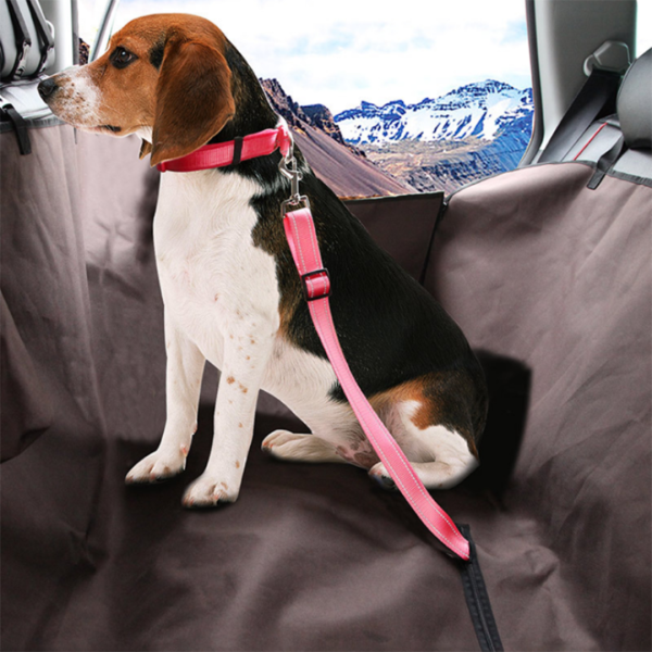 Petsafe - Safety Belt For Your Four-Footer!