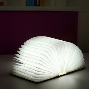 Woodbook Wireless Reading/Table Lamp