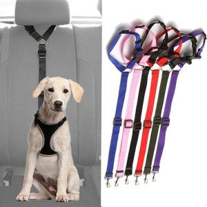 Petsafe - Safety Belt For Your Four-Footer!