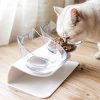 Ergonomic Cat Feeding Bowl