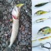 Fishing Lures - Pike, Perch And Zander