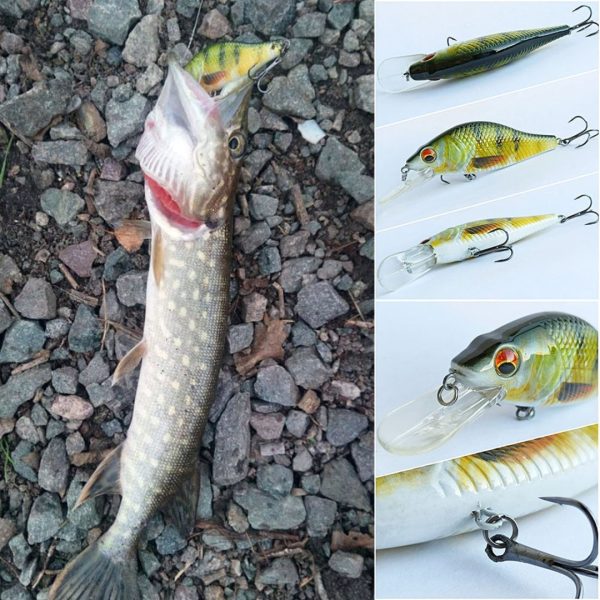 Fishing Lures - Pike, Perch And Zander