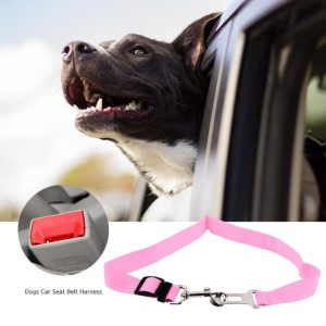 Petsafe - Safety Belt For Your Four-Footer!