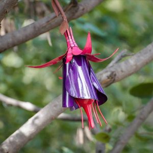 Flower Hummingbird Feeder