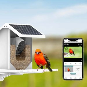 Smart Solar Bird Feeder - Discover Nature In A Unique Way!