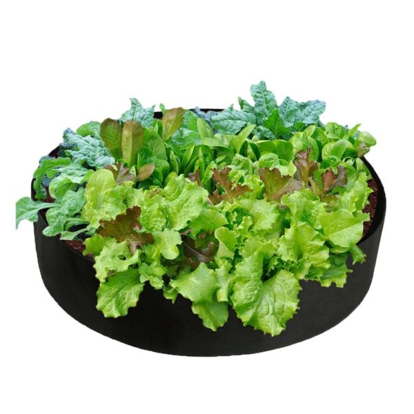 Cultivation Box - Mini Vegetable Garden For Every Home