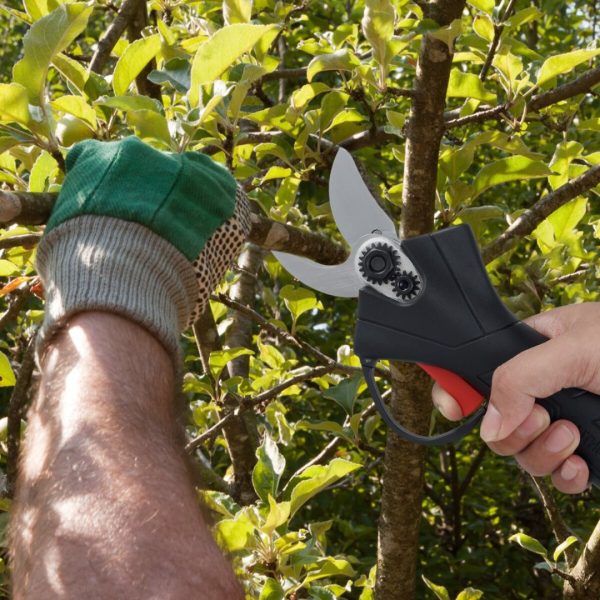 Cordless Electric Pruner