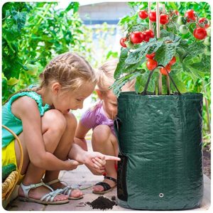 Minigarden - Vegetable And Plant Growth Bags