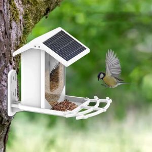 Smart Solar Bird Feeder - Discover Nature In A Unique Way!