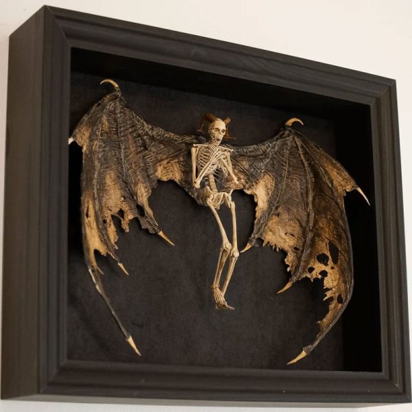 Bat Winged Demon Skeleton