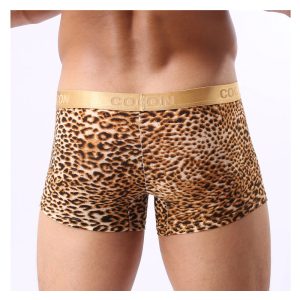 Men'S Panties With Gold-Rimmed Leopard Print