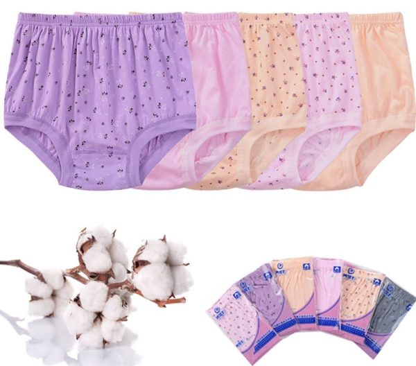 HighWaist Ladies Cotton Panties Plus Sizes5Pcs $24.98