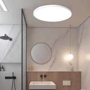 Quinn Modern Round Led Ceiling Lamps