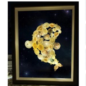 Diy Shell Conch Starry Sky Lamp