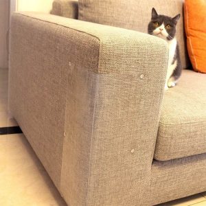 Sofa Sticker Protect Your Furniture From Cat Scratching