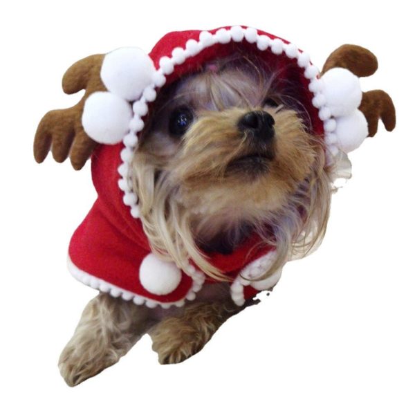 Halloween Christmas European And American Pet Clothes Hooded