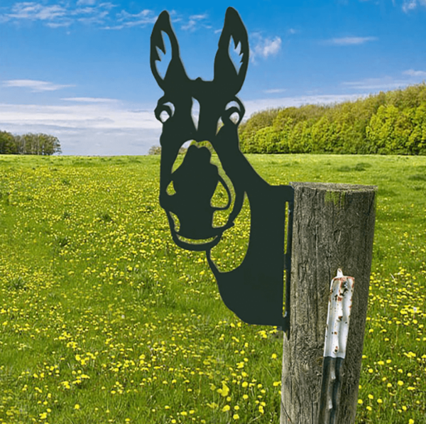 Peek-A-Boo - Animal Garden Decoration