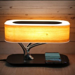 Light Of Life Lamp (Wireless Charging)