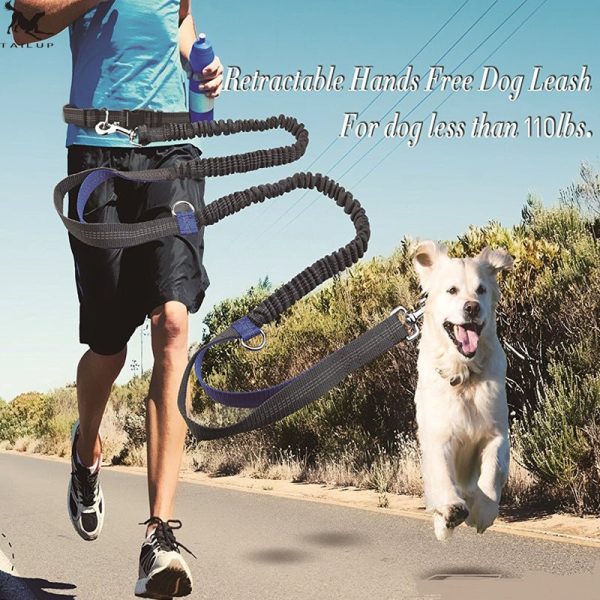 Multi-Function Running Reflective Pull Dog Leash Double Elastic Dog Leash Traction