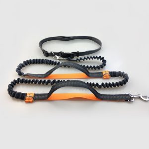 Multi-Function Running Reflective Pull Dog Leash Double Elastic Dog Leash Traction