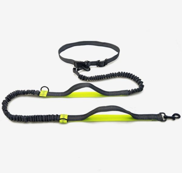 Multi-Function Running Reflective Pull Dog Leash Double Elastic Dog Leash Traction