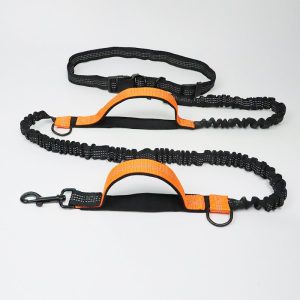 Multi-Function Running Reflective Pull Dog Leash Double Elastic Dog Leash Traction