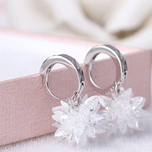 Fashion Pure Beauty Ice 925 Silver Earrings Hypoallergenic Non-Fading Earrings